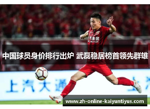 中国球员身价排行出炉 武磊稳居榜首领先群雄