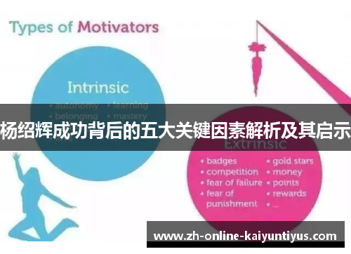 杨绍辉成功背后的五大关键因素解析及其启示