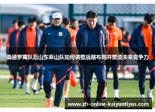 桑德罗离队后山东泰山队如何调整战略布局并塑造未来竞争力