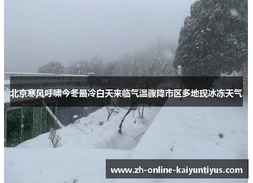 北京寒风呼啸今冬最冷白天来临气温骤降市区多地现冰冻天气