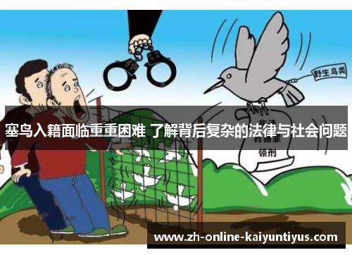 塞鸟入籍面临重重困难 了解背后复杂的法律与社会问题