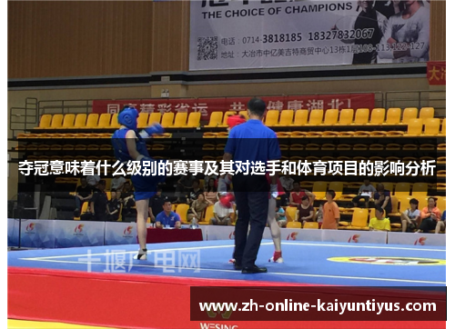 夺冠意味着什么级别的赛事及其对选手和体育项目的影响分析