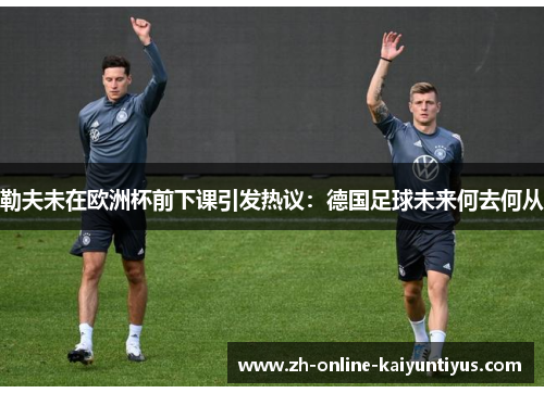 勒夫未在欧洲杯前下课引发热议：德国足球未来何去何从