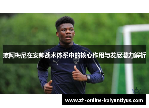 琼阿梅尼在安帅战术体系中的核心作用与发展潜力解析