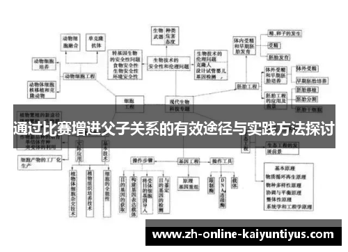 通过比赛增进父子关系的有效途径与实践方法探讨