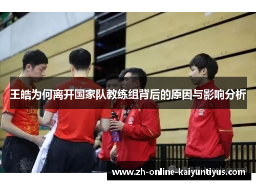 王皓为何离开国家队教练组背后的原因与影响分析